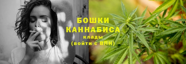 ешки Бронницы