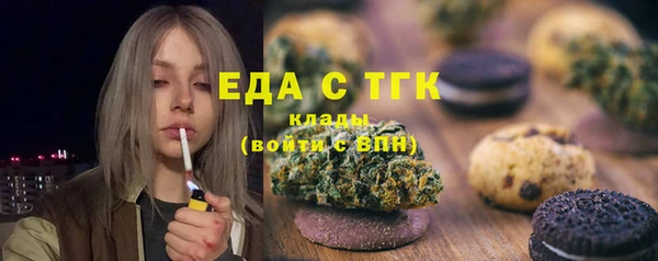 твердый Бородино