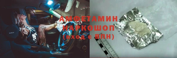 твердый Бородино