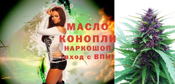 твердый Бородино