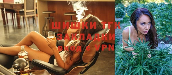 твердый Бородино
