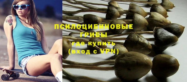твердый Бородино