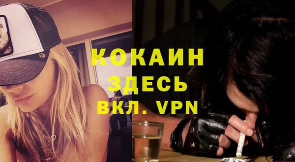 твердый Бородино
