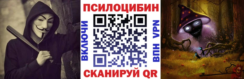 Галлюциногенные грибы Psilocybine cubensis  дарнет шоп  Афипский 